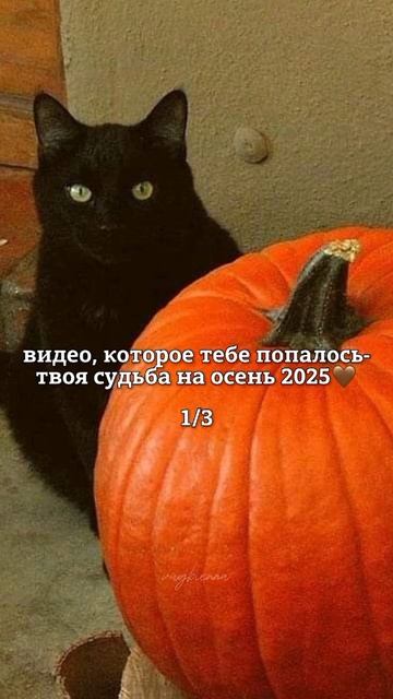 Ставьте лайк и подписывайтесь! смотреть онлайн