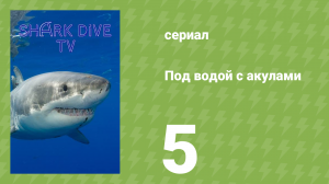 Под водой с акулами 5 серия (документальный сериал, 2023)