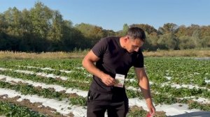 удобрения и средства защиты растений для дачных участков