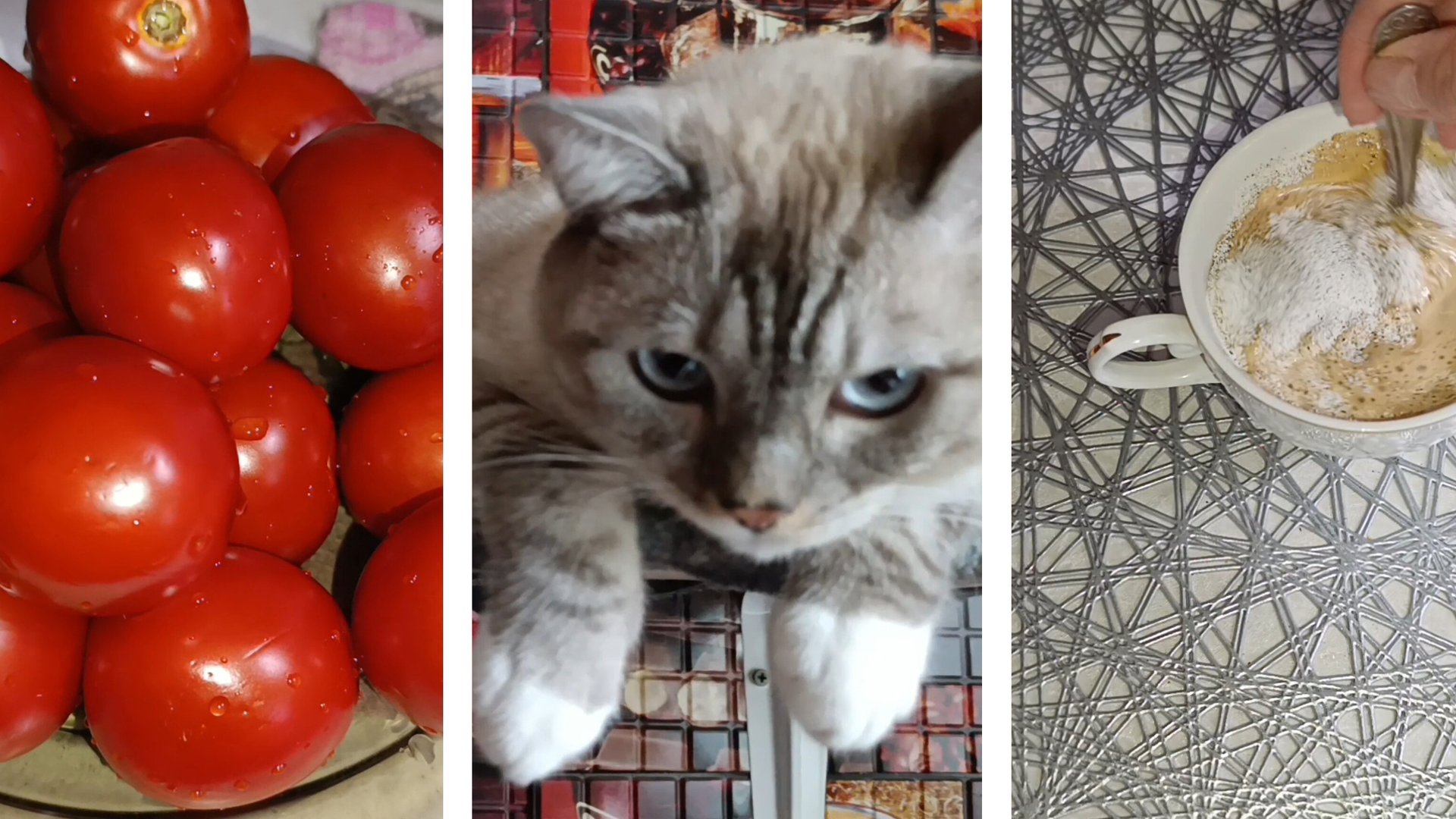 поговорим о наболевшем 🤬🤬🤬🤬🤬🤬🤬🤬🤬🤬🤬🤬🤬🤬🤬🤬🤬 смотреть онлайн