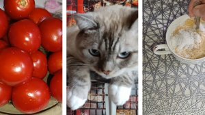 поговорим о наболевшем 🤬🤬🤬🤬🤬🤬🤬🤬🤬🤬🤬🤬🤬🤬🤬🤬🤬