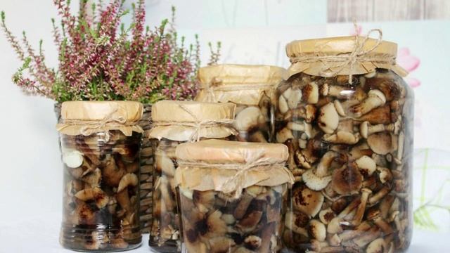 Маринованные опята на зиму смотреть онлайн