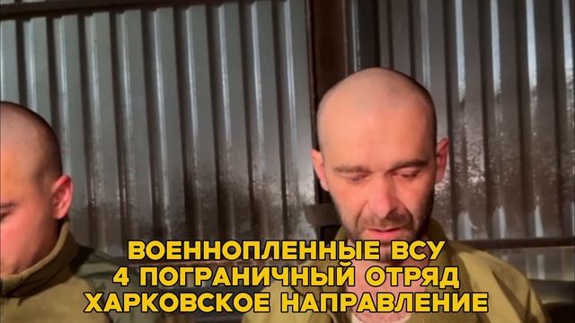 Украинские военные сдаются в плен на Харьковском направлении. смотреть онлайн