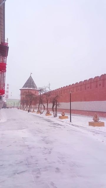 У стен Кремля #shorts_video #молодыдушой_Москва #серебряныйволонтер