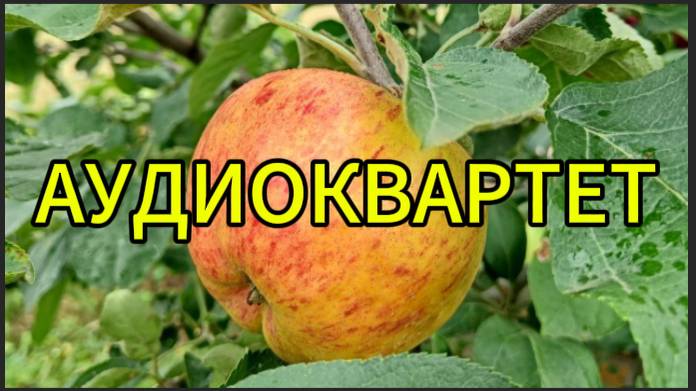 Ласковых снов смотреть онлайн