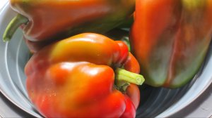 Самый урожайный сладкий перец сезона 2025