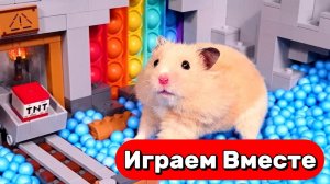 ПРИКЛЮЧЕНИЯ УМНОГО ХОМЯКА ДЛЯ ДЕТЕЙ 🐹 ВИДЕО ПРО ХОМЯКА ДЛЯ ДЕТЕЙ