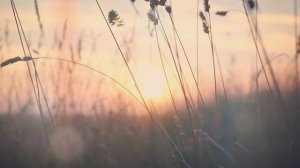 Детство. Музыка от души @anna_i_zueva