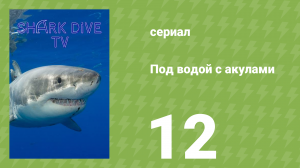 Под водой с акулами 12 серия (документальный сериал, 2023)