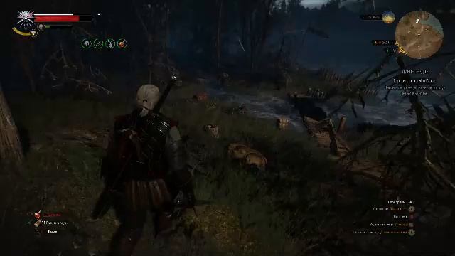 Прохождение игры The Witcher 3: Wild Hunt (Стрим) в 2025 # 7
