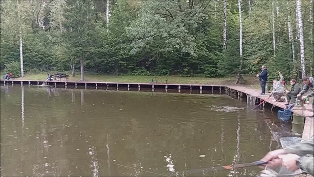 Клёвое место Лосиный остров