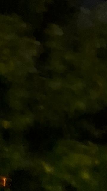 КРОВАВАЯ ЛУНА, 2 ЧАСТЬ. ВЫХОДИТ ЕИЗ ДОМА И СНИМАЙТЕ!