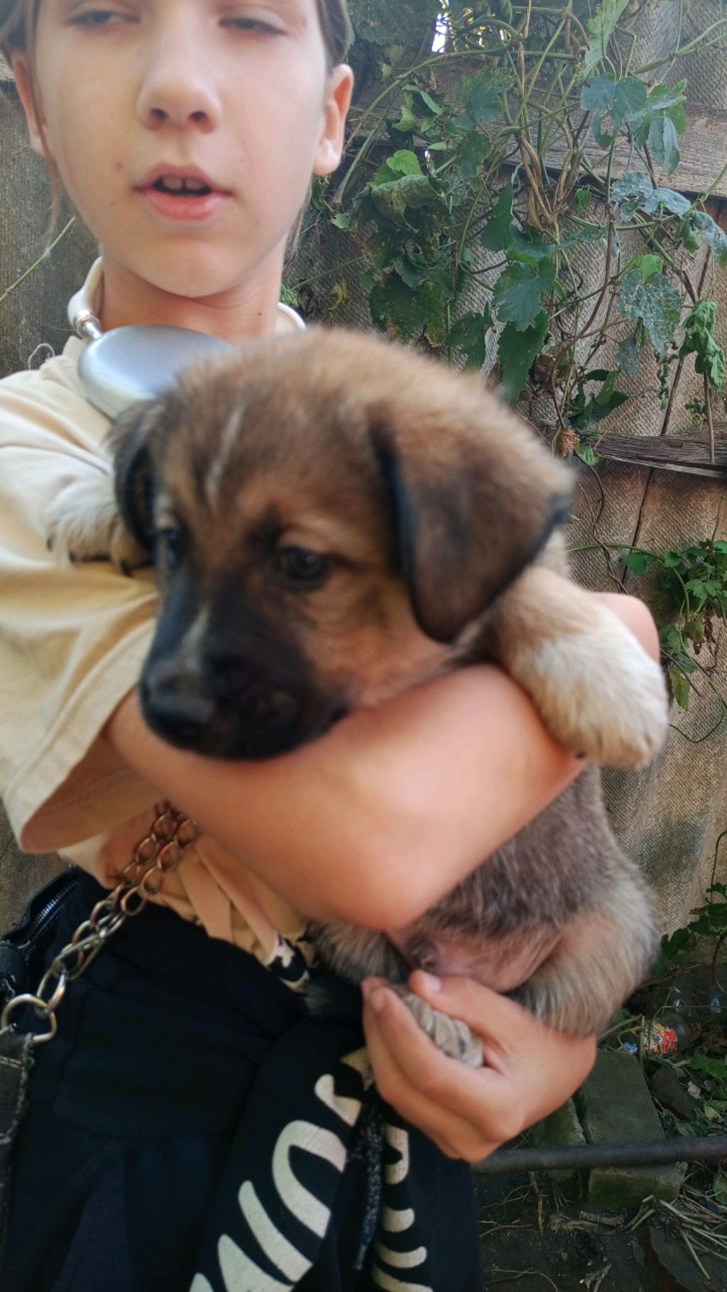 пр смотреть онлайн