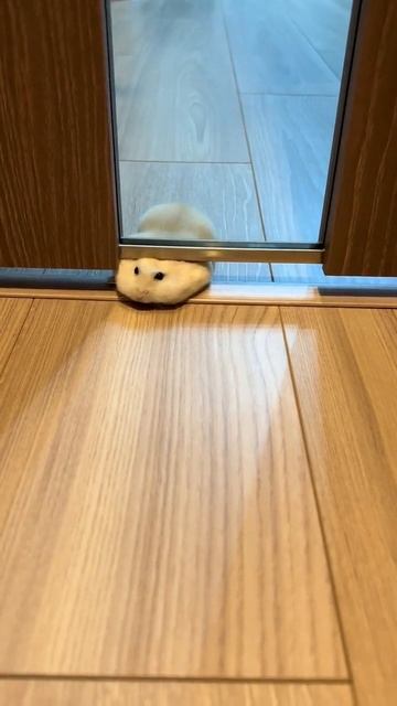 Пролез...) смотреть онлайн