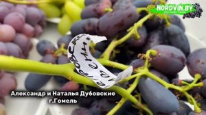 Выставка-ярмарка Виноград-2025 в г.п. Самохваловичи