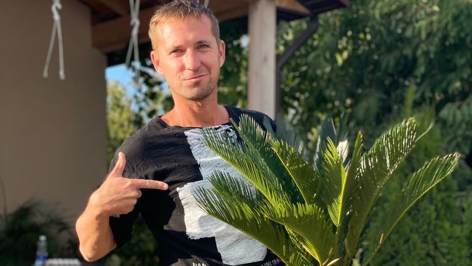 Цикас, Саговник,Саговая «пальма»посадка в открытый грунт #cycas #palm #garden #flowers #цветыдлядома смотреть онлайн