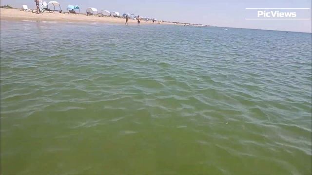 АНАПА пляж ВИТЯЗЕВО сегодня 7 сентября 2025. Море и погода в Анапе сейчас. Есть ли мазут на пляжах? смотреть онлайн