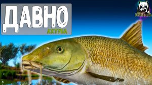 Давно уже такой рыбалки не было и вот что происходит #рр4