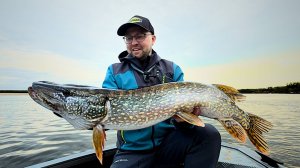 ЗА КРУПНОЙ ЩУКОЙ на СЕВЕР КОМИ / РЫБАЛКА на СПИННИНГ ОСЕНЬЮ