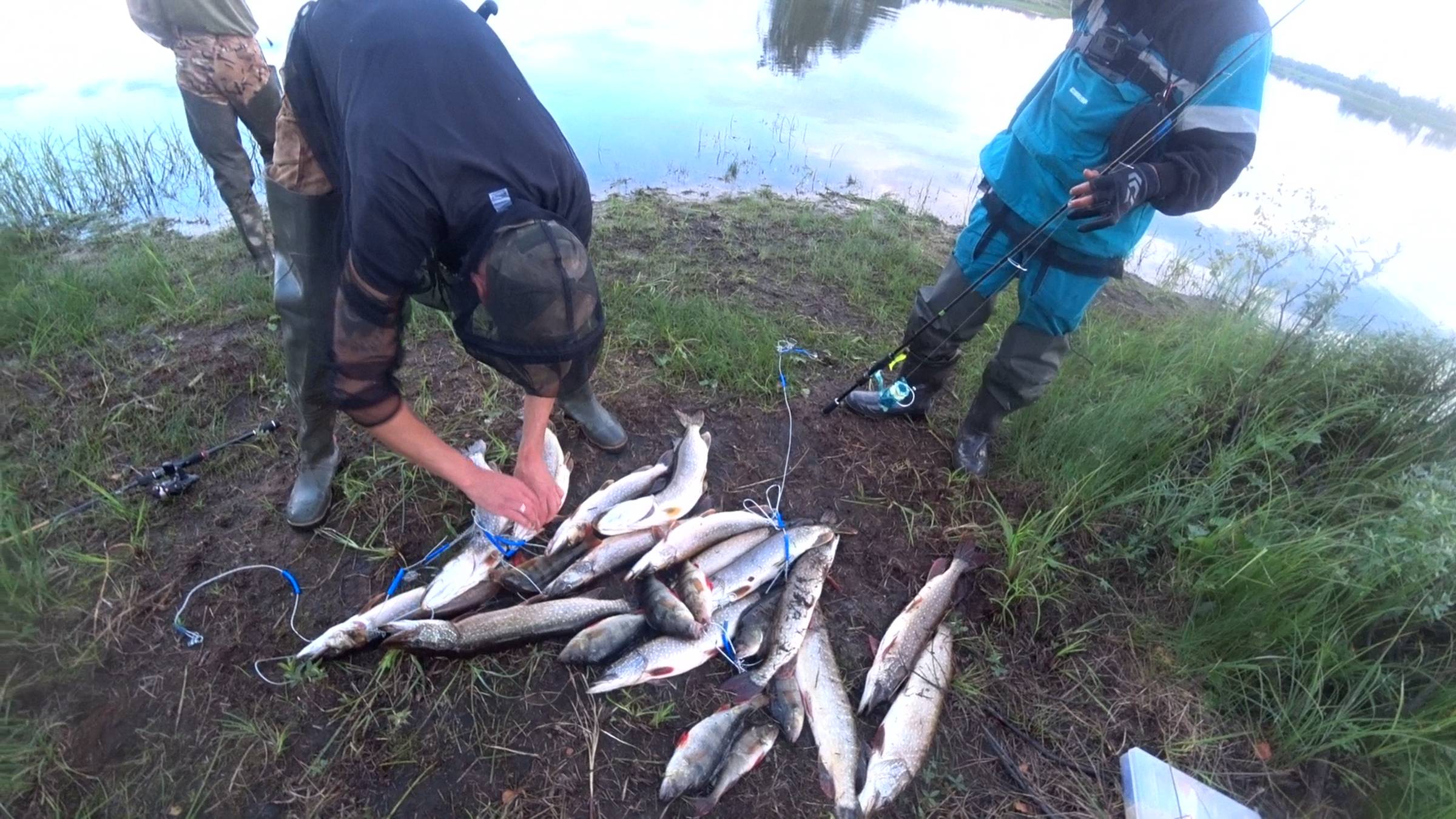 ДЕНЬ ВТОРОЙ.ПОСЛЕ ЭТОЙ РЫБАЛКИ РУКА НЕДЕЛЮ БОЛЕЛА.РЫБАЛКА НА СПИННИНГ. смотреть онлайн