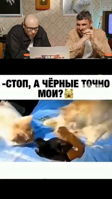 СМЕХ С ВОДОЙ😂 _ ПОПРОБУЙ НЕ ЗАСМЕЯТЬСЯ смотреть онлайн