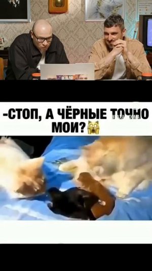 СМЕХ С ВОДОЙ😂 _ ПОПРОБУЙ НЕ ЗАСМЕЯТЬСЯ