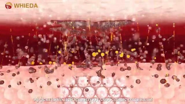 Активатор клеток Pro WHIEDA  /ПРОДУКЦИЯ КОМПАНИИ WHIEDA/