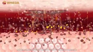 Активатор клеток Pro WHIEDA  /ПРОДУКЦИЯ КОМПАНИИ WHIEDA/