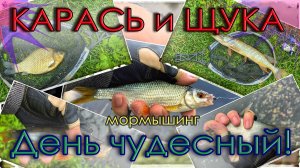 Карась и щука; День чудесный! Мормышинг. Gammarus (0.1 - 0.6 г)