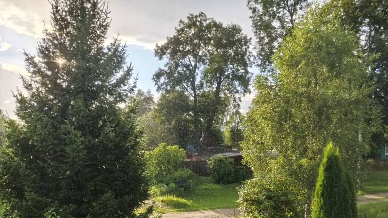 Ольга Нарышкина. Возрождение деревни Грибово...