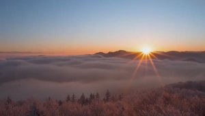 Премудрость