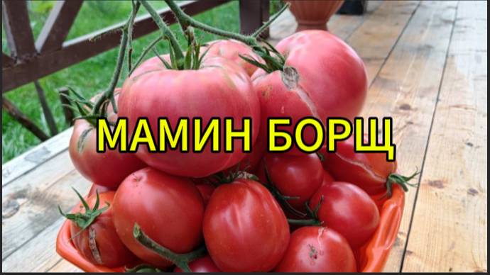 Загадочный мамин борщ смотреть онлайн