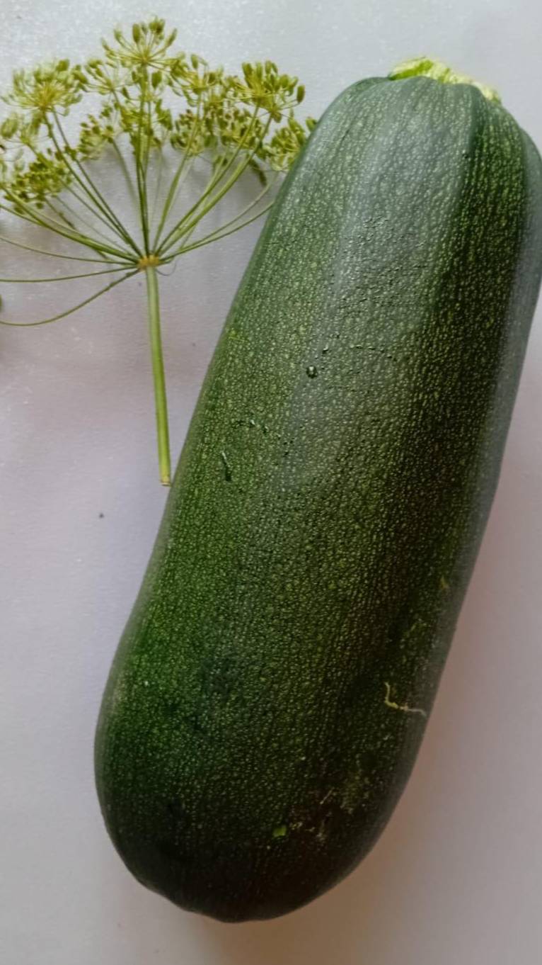 ОБАЛДЕННЫЕ КАБАЧКИ в КЛЯРЕ смотреть онлайн