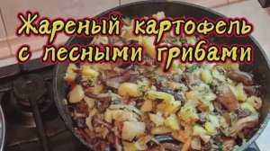 Жареный картофель с лесными грибами 😋