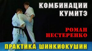 Практика Шинкиокушин.Комбинации кумитэ(Р.Нестеренко)