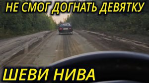 НИВА ШЕВРОЛЕ ПОКАТУШКИ ПО ЛЕСНЫМ ДОРОГАМ
