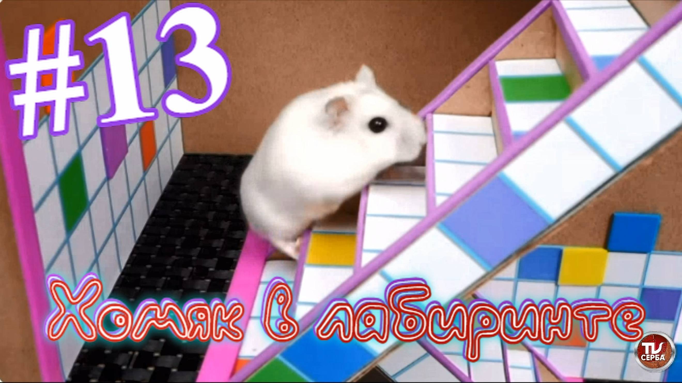 Хомяк в лабиринте (13 серия) смотреть онлайн