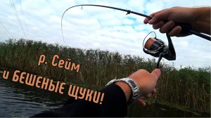 Кто Победит? ТОНКИЙ ШНУР или ЩУКИ? / РЫБАЛКА В НОВОМ МЕСТЕ.