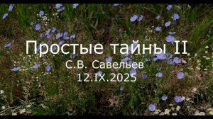 С.В. Савельев - Простые тайны II