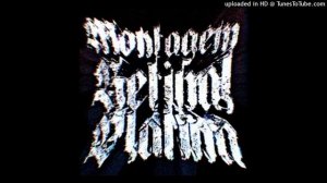 MONTAGEM RETINAL PLATINA (feat. Bonnie Karpov)