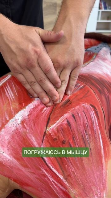 Массаж трапециевидной мышцы | Как расправить плечи