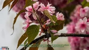 Вальс дождя! Самая красивая мелодия на свете! Эту музыку можно слушать вечно! Музыка для души