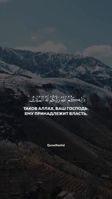 Сура 35 «Фатыр» (Творец) Аяты 13-14 || Мухаммад Люхайдан смотреть онлайн