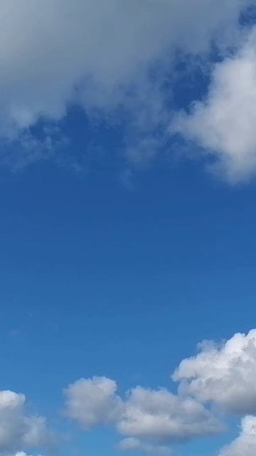 Рыбалка- вот куда уходит время смотреть онлайн