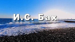 И.С. Бах, Токката и фуга для органа pе минор. Классическая музыка. Музыка для души