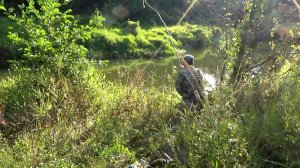 Рыбалка 4 сентября на жерлицы с берега на малой реке - работа над ошибками 5 лет спустя...