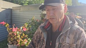 Виноград в Сибири. Выставка — продажа винограда в Бийске.