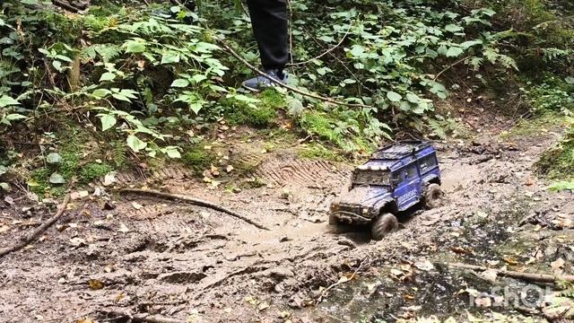 Зеленоград Трофи 15