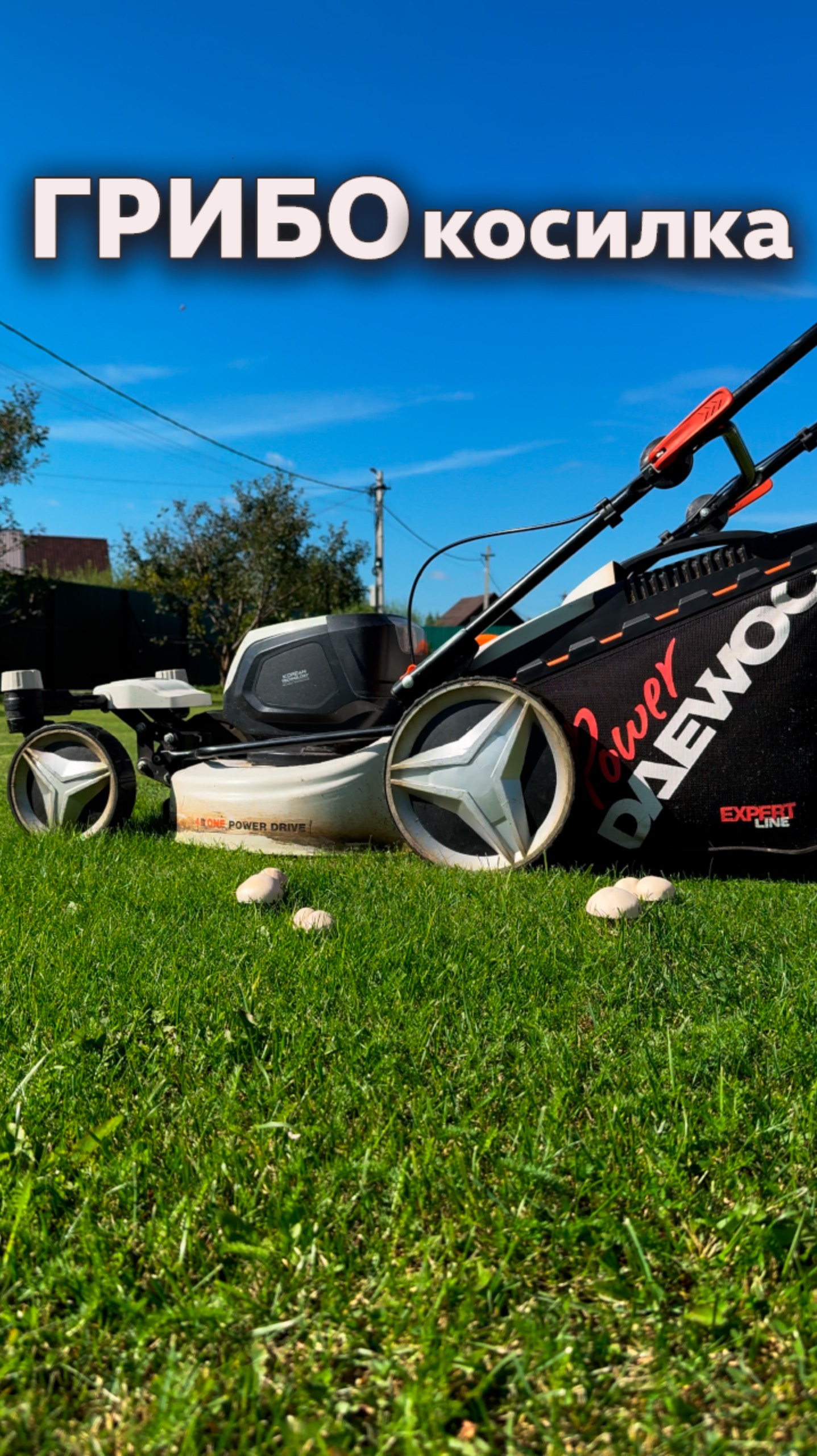 ГРИБОкосилка 🍄🟫 #надаче смотреть онлайн