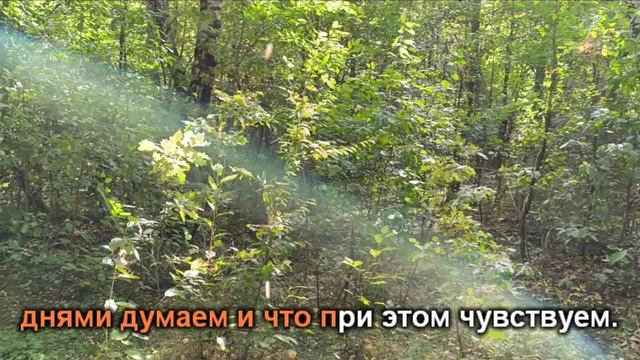 О частоте вибрации земли смотреть онлайн